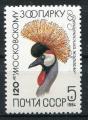 Timbre Russie & URSS 1984  Neuf **  N 5078   Y&T   Oiseaux