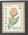 Bulgaria - Scott 1107   flower / fleur