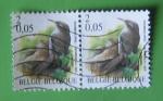 Belgique - 2000 - Oiseau Grimpereau des Jardins (Obl)