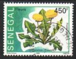 Sngal (Rp.) 2005 - Pissenlit (en fleur), Obl. ronde - YT 1748 