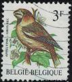 Belgique 1987 Oiseau Coccothraustes coccothraustes Gros Bec Casse Noyaux SU