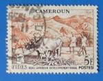 Cameroun 1956 - Nr 300 - FIDES Dveloppement Rural (obl)