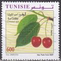 TUNISIE N 1640 de 2009 oblitr