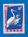 Congo-Kinshasa :  Y/T   N 481  NSG