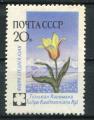 Timbre Russie & URSS 1960  Neuf **   N 2351   Y&T   Fleurs
