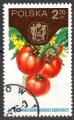 EUPL - 1974 - Yvert n 2172 - Congrs horticole : Tomates
