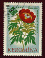 Roumanie 1961 - YT 1820 - oblitéré - fleur