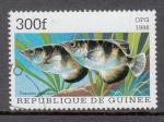 GUINEE - Oblitr - 1998 -  Poissons d'aquarium