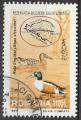 Timbre oblitr n 4541(Yvert) Roumanie 1999 - Europa, oiseaux, canards