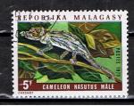 Madagascar / 1973 / Caméléon / YT n° 524, oblitéré