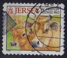 Jersey 2001 - Agriculture: vaches jersiaises/Jersey cows, obl - YT 974/SG 985 