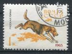 Timbre Russie & URSS 1965  Obl   N 2917   Y&T  Chien