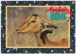 Carte Postale Moderne Afrique - OIseau pique-boeuf  bec rouge et impala