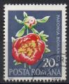 ROUMANIE N 2682 o Y&T 1972 Fleurs rares (Paconia romanica)