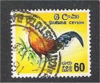 Sri Lanka - Scott 377  bird / oiseau
