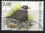 Belgique 2002 Oblitr Oiseau Charadrius hiaticula Pluvier grand gravelot SU