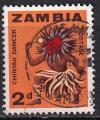 zambie - n° 6  obliteré - 1964
