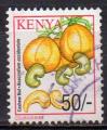 KENYA N 739 o Y&T 2001 Fruits (Noix de cajou)