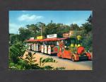 Carte postale : petit train , Saint-Brvin