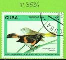 OISEAUX - CUBA YT  N3526 OBLIT