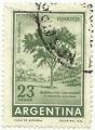 Argentina 1965.- Bosque. Y&T 707. Scott 701. Michel 869.