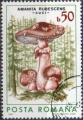 ROUMANIE N 3696 o Y&T 1986 Champignons (Amanite rubercens)