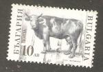Bulgaria - Scott 3591   cow / vache