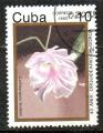 Cuba Yvert N3220 Oblitr 1992 Orchide