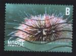 Norvge 2006 Oblitr Used Stamp Northern Sea Urchin Oursin