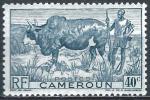 Cameroun - 1946 - Y & T n 278 - MNH