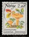 Norvge  "1987"  Scott No. 886  (O)  