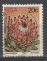 AFRIQUE DU SUD N 427 Y&T o 1977 fleurs (Protea magnifica)