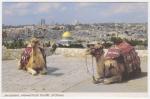 Carte Postale Moderne non crite Israel - Jerusalem, dromadaires