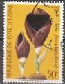 COTE D'IVOIRE N 577 de 1981 oblitr