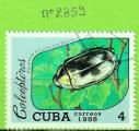 COLEOPTERES - CUBA  YT N2859 OBLIT
