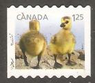 Canada - Scott 2428   bird / oiseau