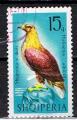 Albanie / 1966 / Oiseau de proie / YT n° 949, oblitéré