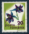 Roumanie 1975 - YT 2912 - oblitr - Pied d'alouette (Delphinium consolida)