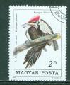 Hongrie 1985 Y&T 2985 oblitr Faune - oiseau - Dryocopus