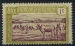France : Cameroun n 106 nsg (anne 1925)