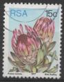 AFRIQUE DU SUD N 426 Y&T o 1977 fleurs (protea eximia) 