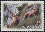 Roumanie 2023 Oblitr Used Animal Rupicapra rupicapra Chamois Y&T RO 7057 SU
