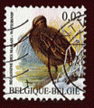 Belgique 2003 - Y&T 3192 - oblitr - oiseau (bcassine des marais)