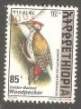 Ethiopia - Scott 1483  bird / oiseau