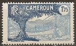 cameroun - n 147  neuf sans gomme - 1927/38 (aminci)