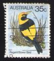 Australie 1980 Oblitr Oiseau Regent Bowerbird Jardinier prince-rgent AU705