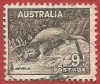 Australia 1937-38.- Fauna. Y&T 117(B). Scott 174a. Michel 147A.