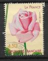 N 3250  rose  "La France"1999