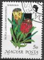 HONGRIE - 1990 - Yt n 3267 - Ob - Fleur : protea lepidocarpodendron neriifolia