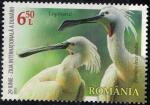 Roumanie 2022 Used Oiseau Platalea Leucorodia Spatule Blanche Y&T RO 6885 SU